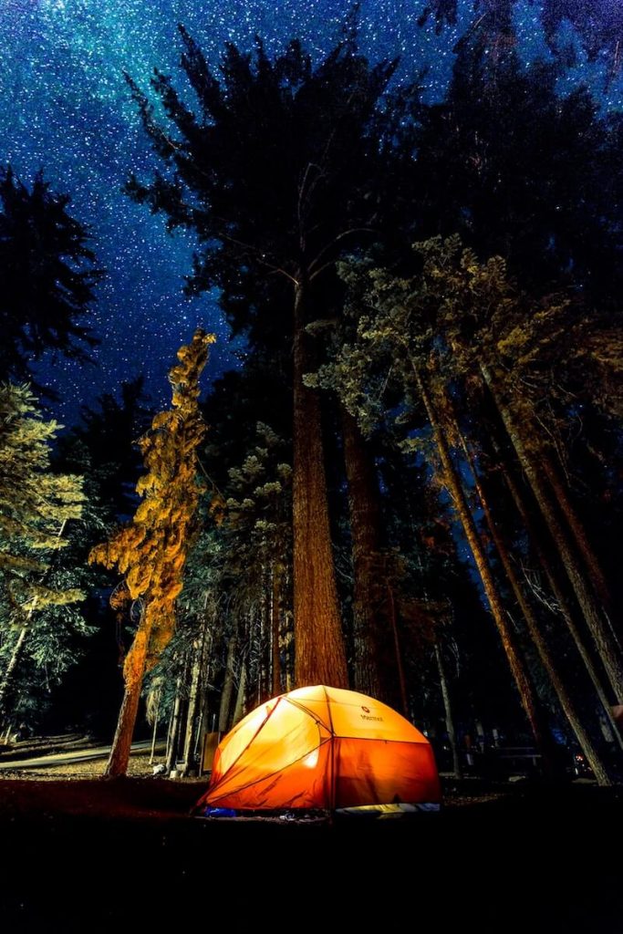 Camping tent in forest